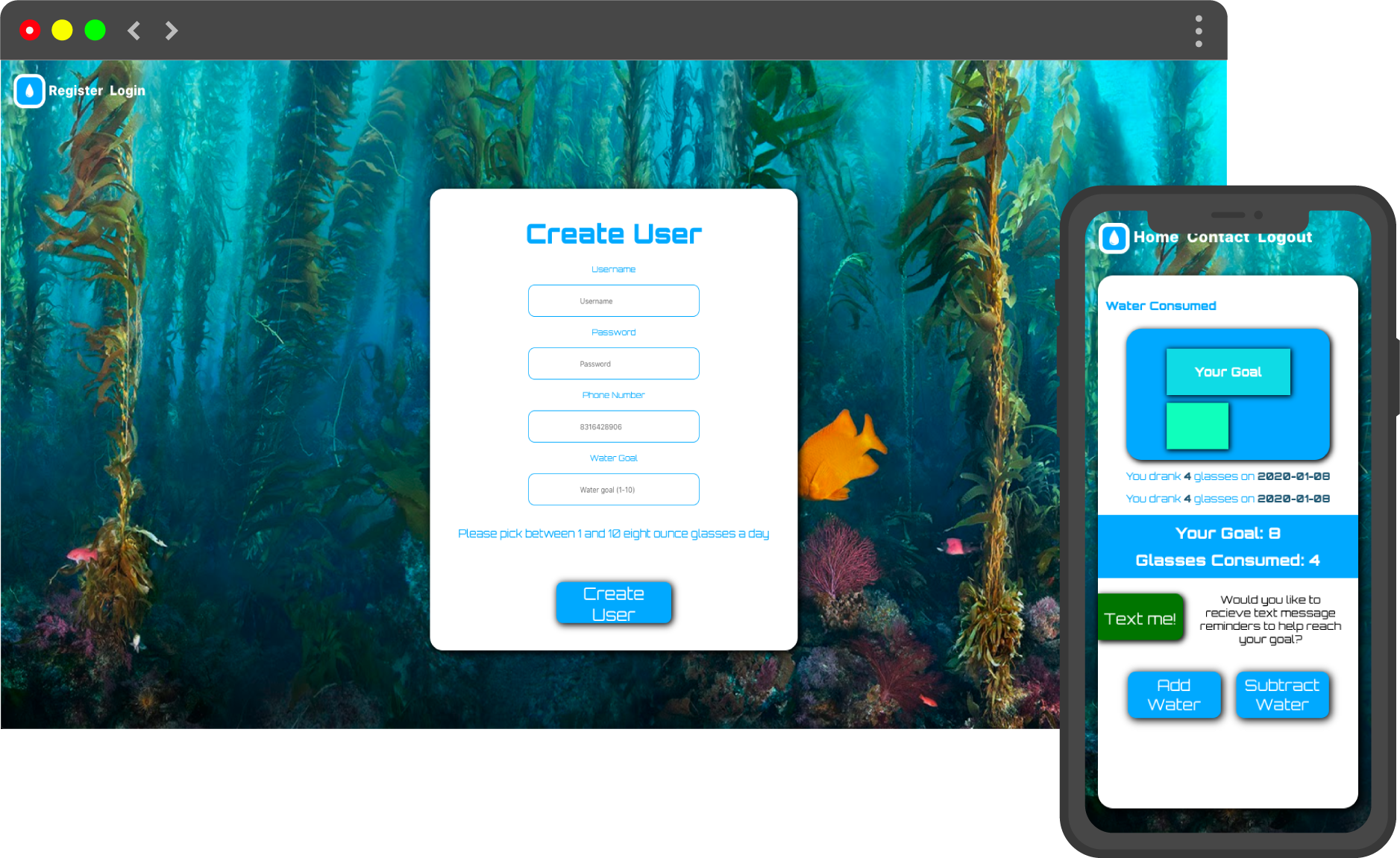 application screen shot